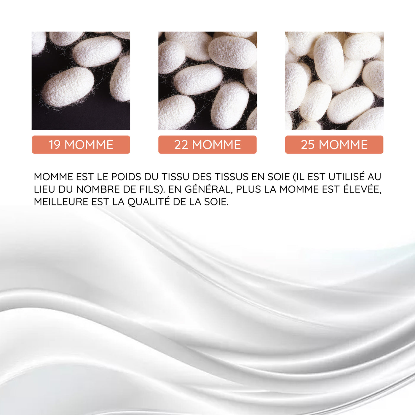 Qu'est-ce que Momme?