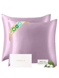 Lot de 2 taies d’oreiller soie 22 Momme